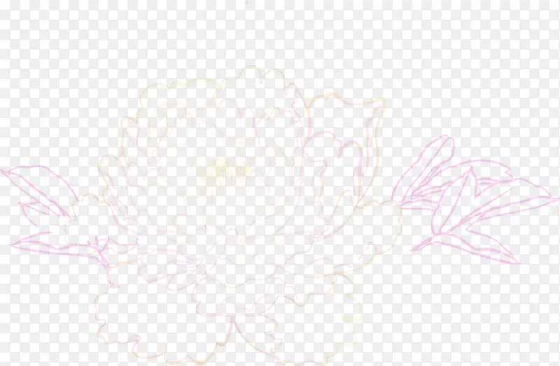 牡丹花卉新年贺卡图片