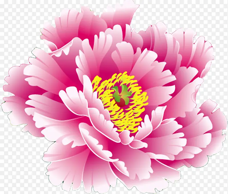 手绘粉色牡丹国花设计