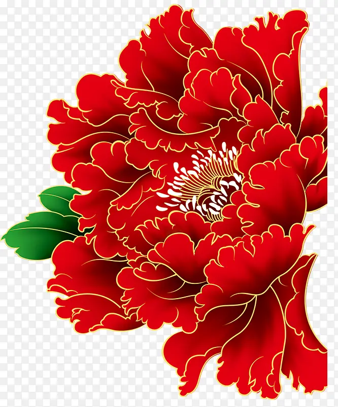 牡丹花