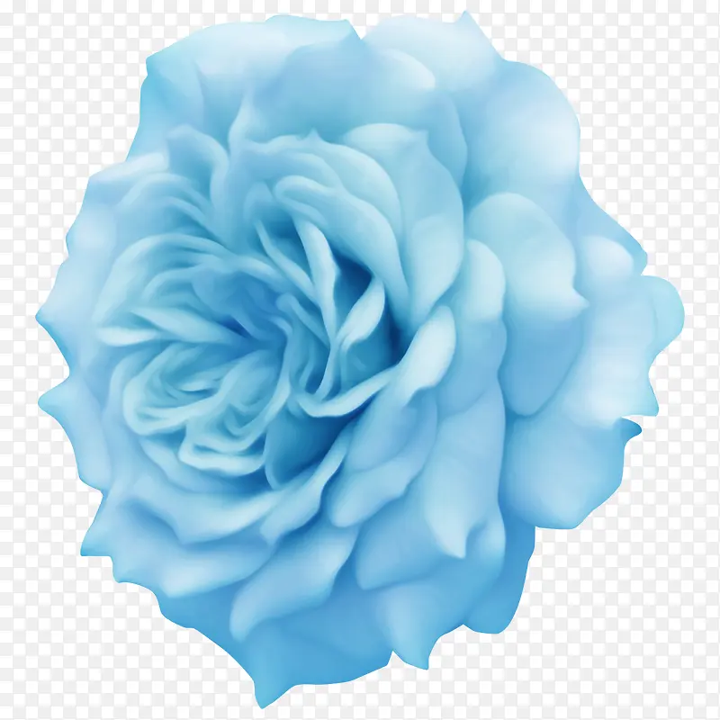 蓝色花朵牡丹花朵高清花朵