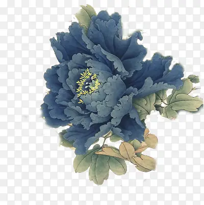深蓝色牡丹花