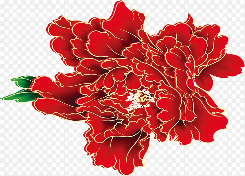 红色高清花朵牡丹