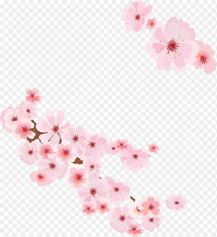 粉色的花