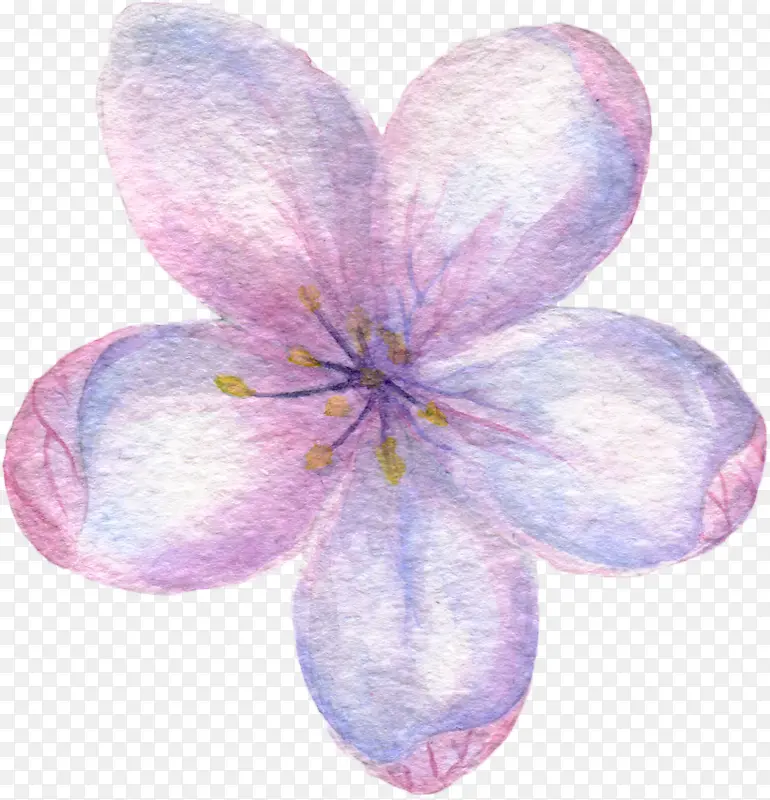 手绘粉色的花