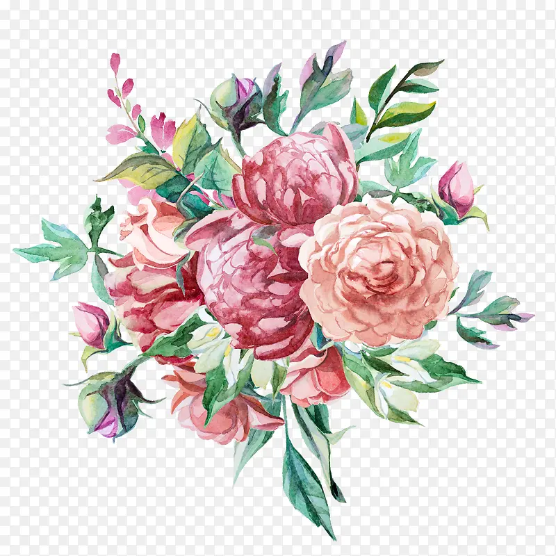 手绘花卉