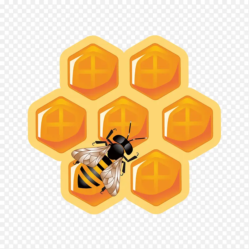 矢量手绘蜜蜂