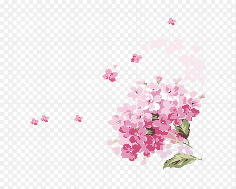粉色的花