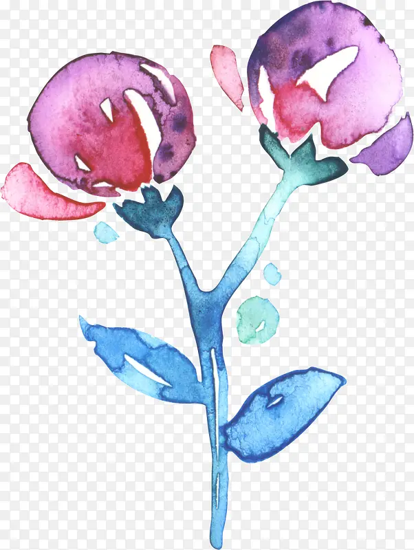 水彩两朵花