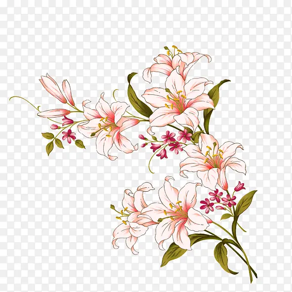 粉色花