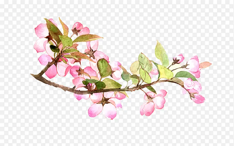 粉色的花