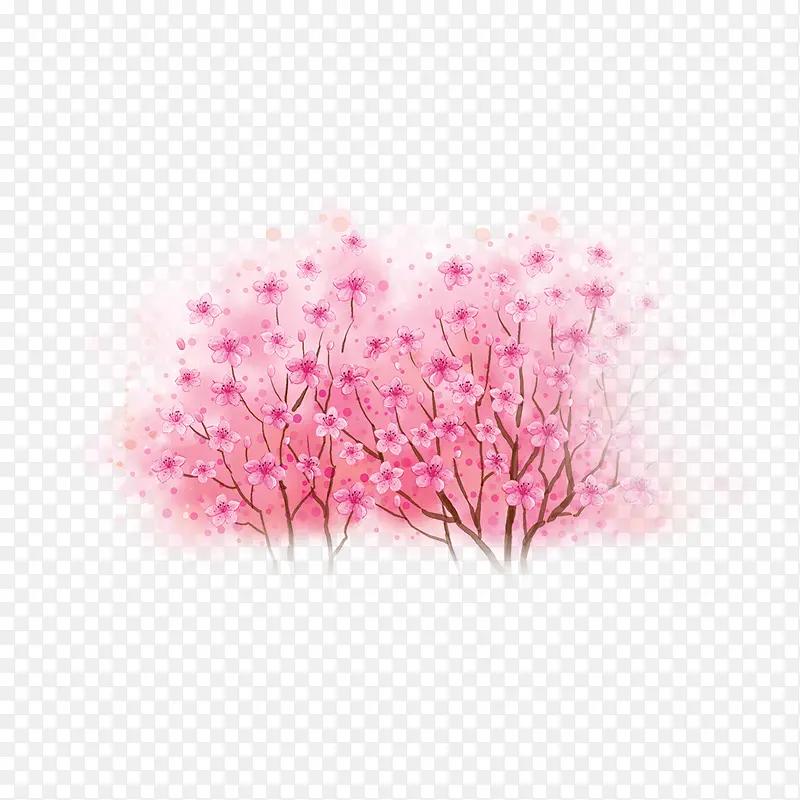 粉色的植物