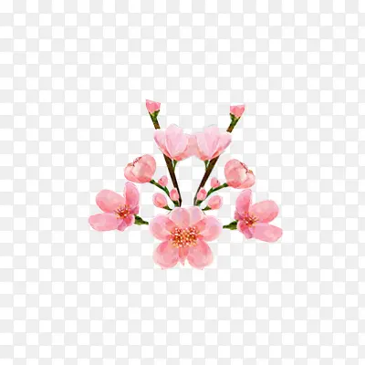 粉色的花