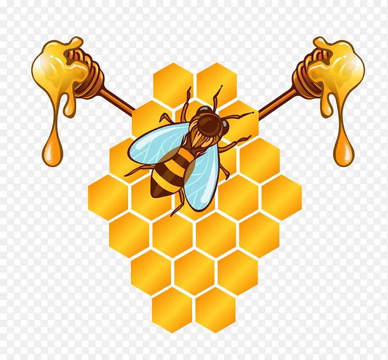 矢量蜜蜂蜂蜜素材