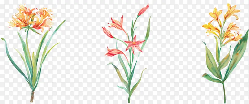 手绘花