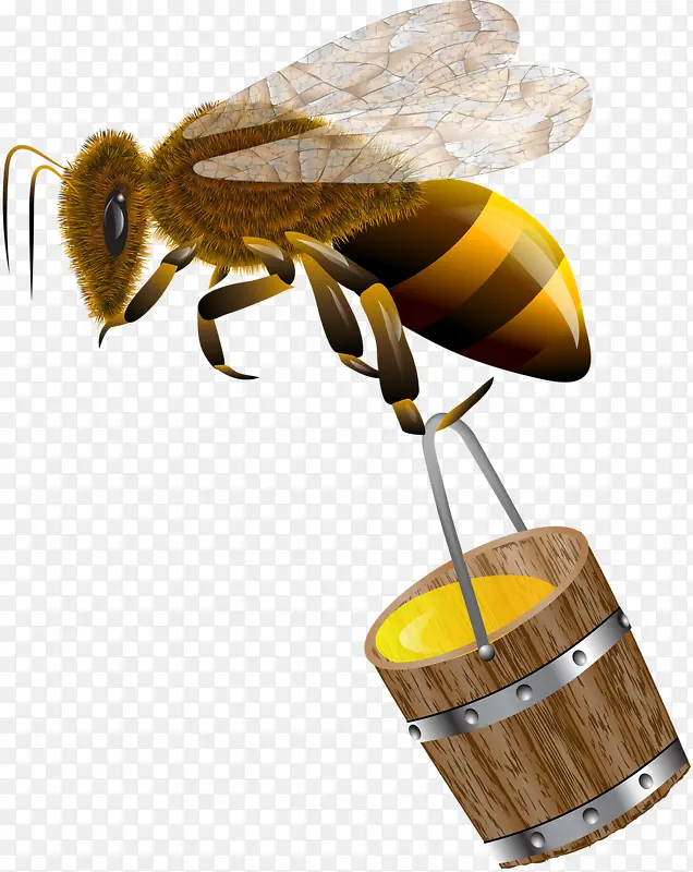 卡通手绘蜜蜂