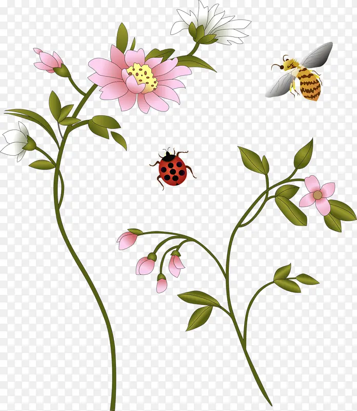 红色花朵七星瓢虫蜜蜂