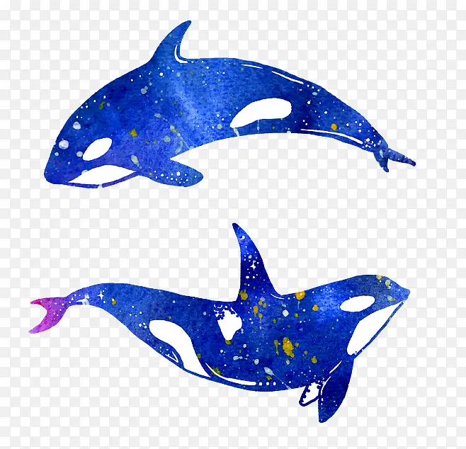 水彩海豚