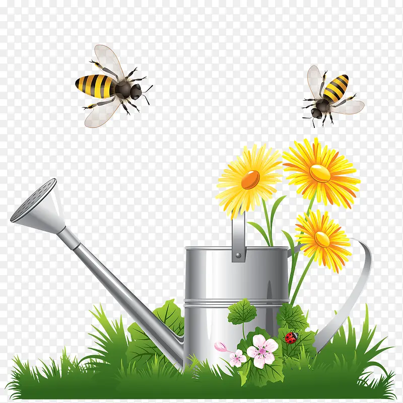 水壶花蜜蜂