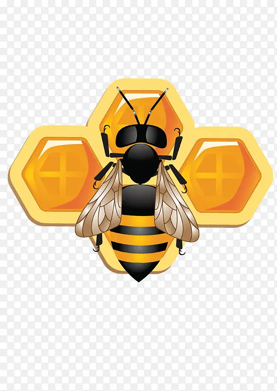 可爱的3D蜜蜂和蜂窝矢量素材