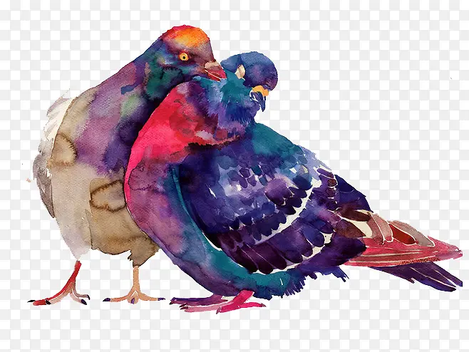 两只彩色手绘鸟