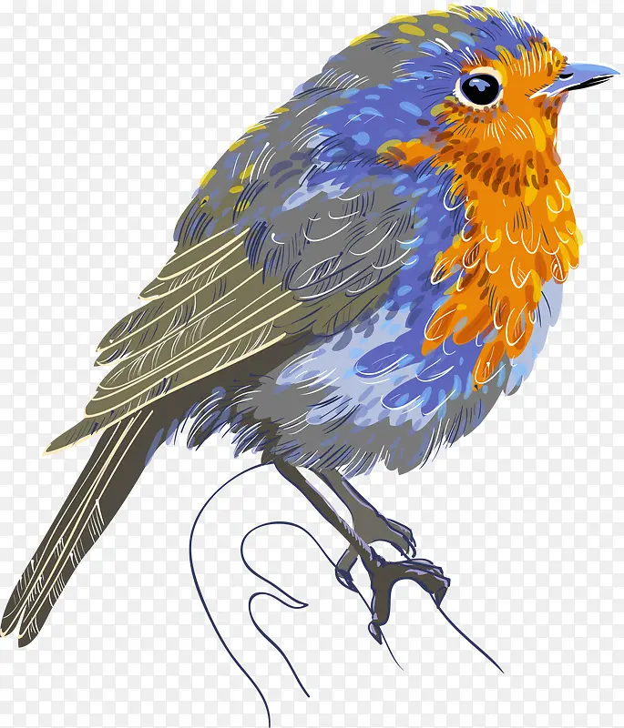 鸟