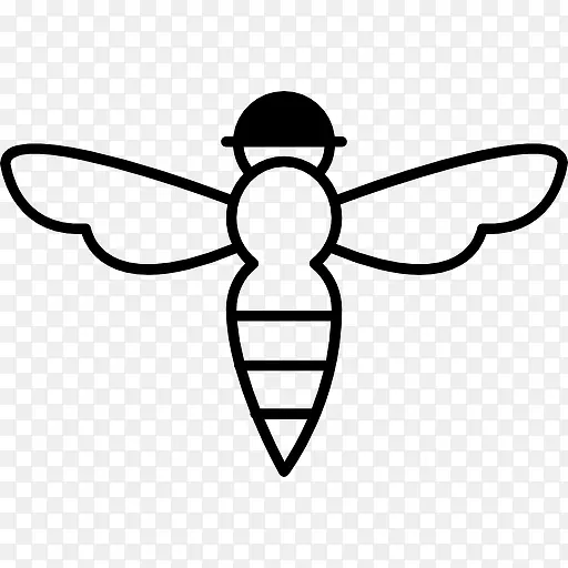 蜜蜂有刺的轮廓图标