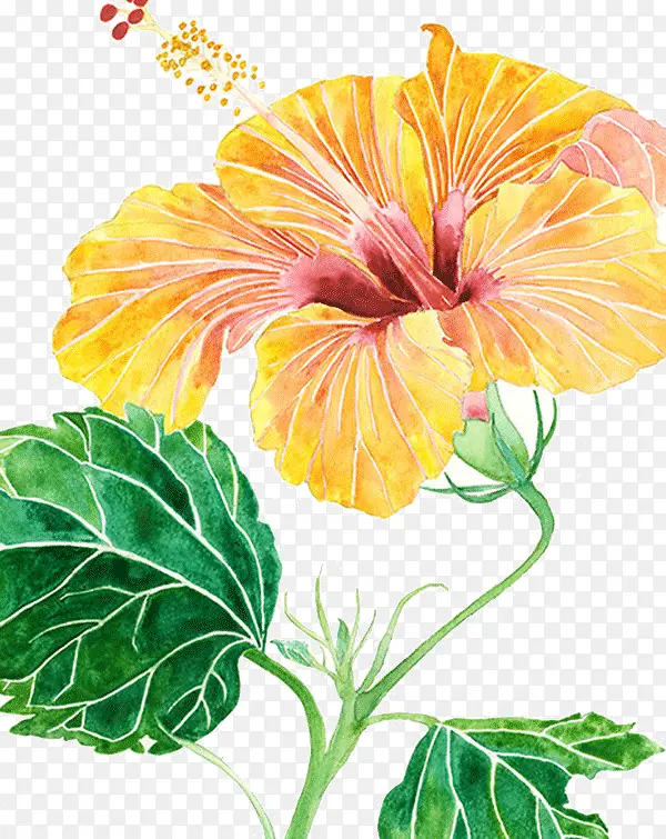 创意水彩花卉插画