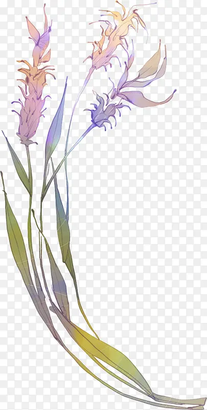 手绘紫色化妆品植物装饰
