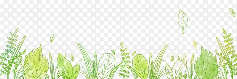 小清新水彩植物边框装饰插图