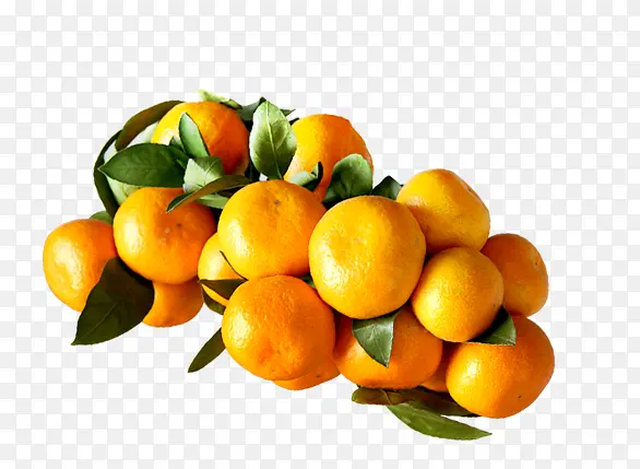 众多黄色的橘子