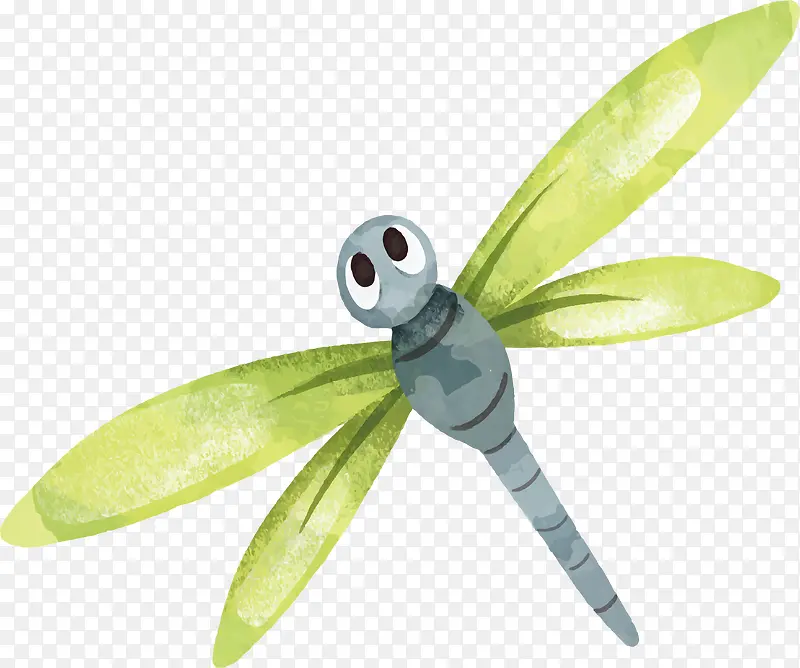 绿色翅膀的蜻蜓