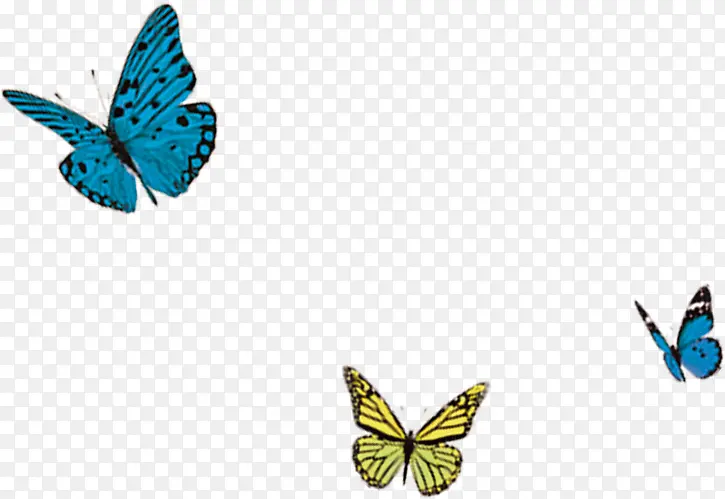 彩色卡通飘浮创意蝴蝶