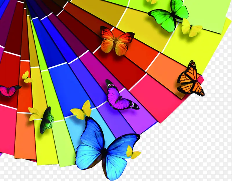 彩色蝴蝶和彩色木板