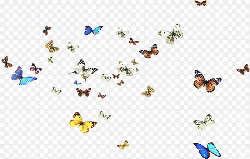 彩色聚集的蝴蝶