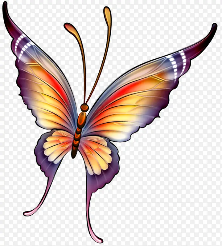 彩色手绘蝴蝶素材图片
