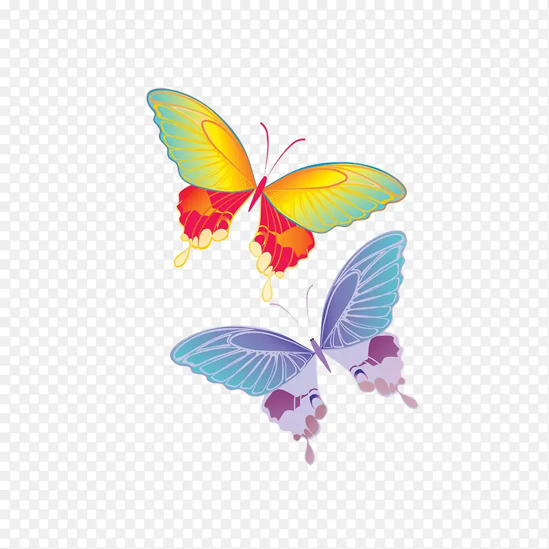 翩翩起舞的彩色蝴蝶