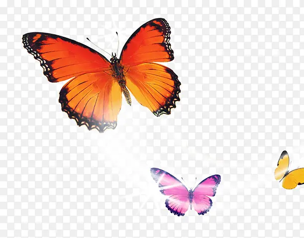 彩色唯美可爱蝴蝶飞舞