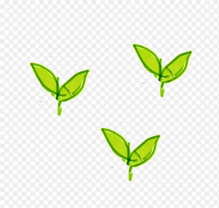 手绘草芽