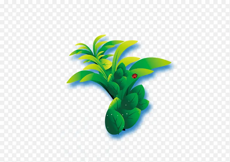 小草