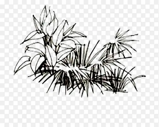 小草