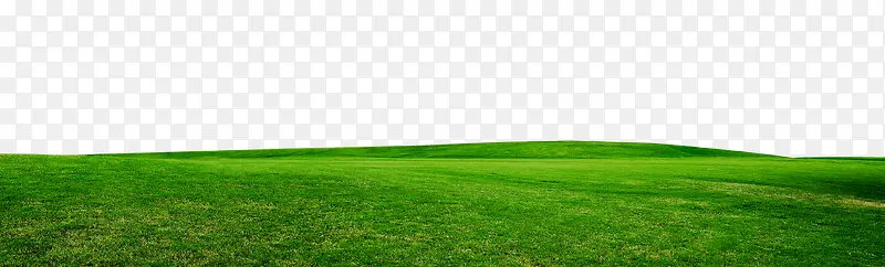 草