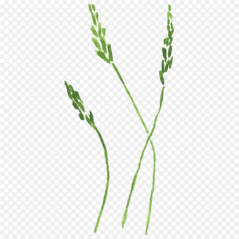 手绘小草
