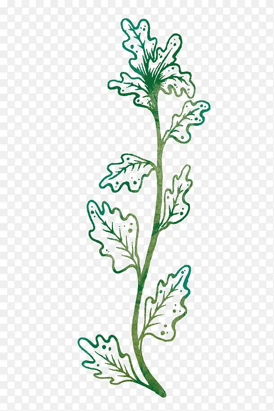 手绘小草