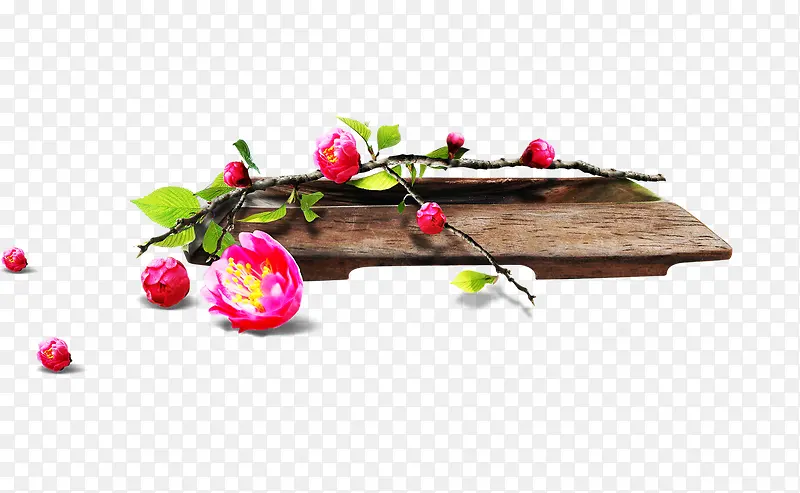高清摄影效果红色桃花