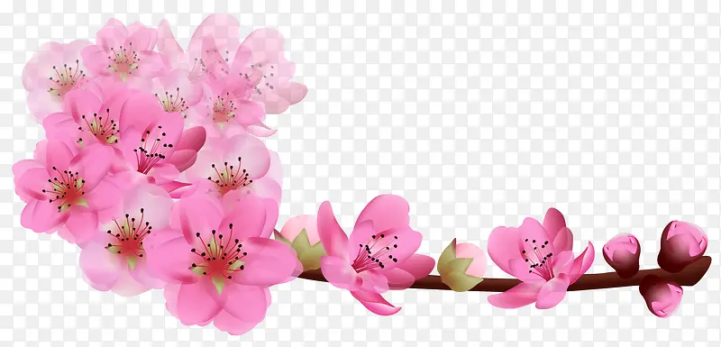 红色桃花高清图片素材图片