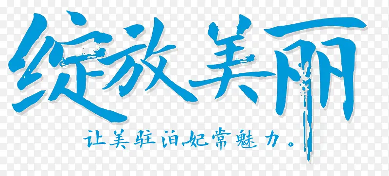 绽放美丽