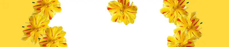 淘宝护肤品唯美背景banner