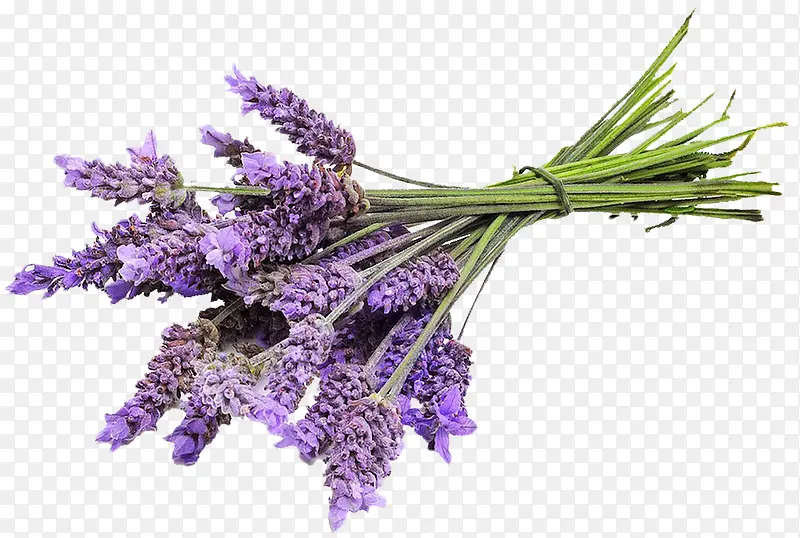漂亮紫色花束
