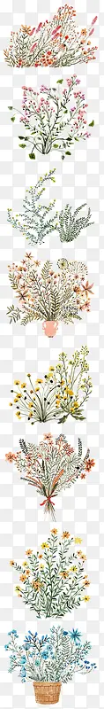 植物
