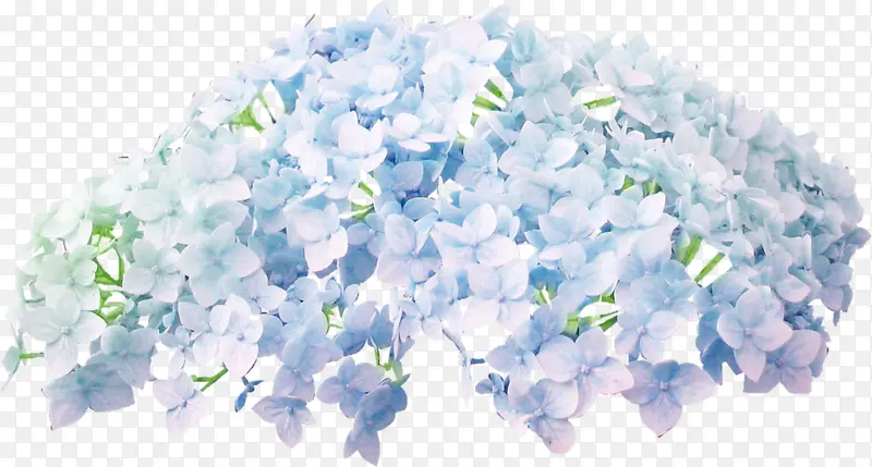 蓝色花束